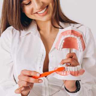 Dentist demonstrating proper dental brushing and hygiene.